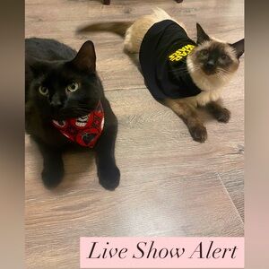 LIKE THIS POST TO RECEIVE LIVE SHOW NOTIFICATIONS! 😻🛍️